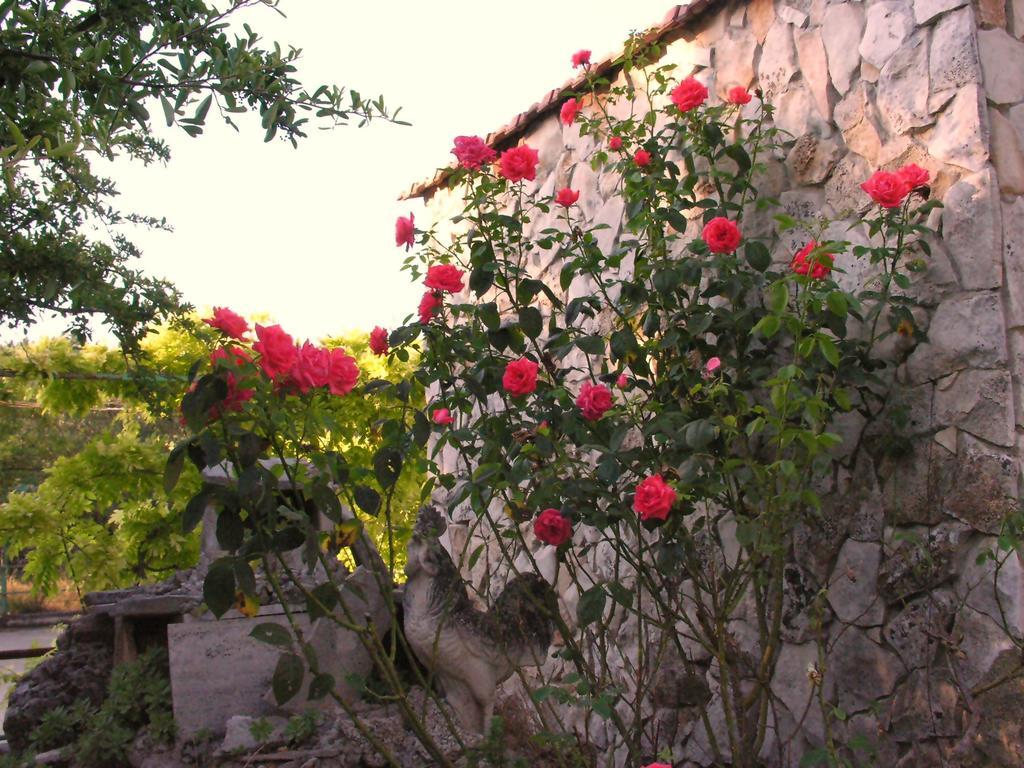 Agriturismo Valle Verde Altamura Zewnętrze zdjęcie