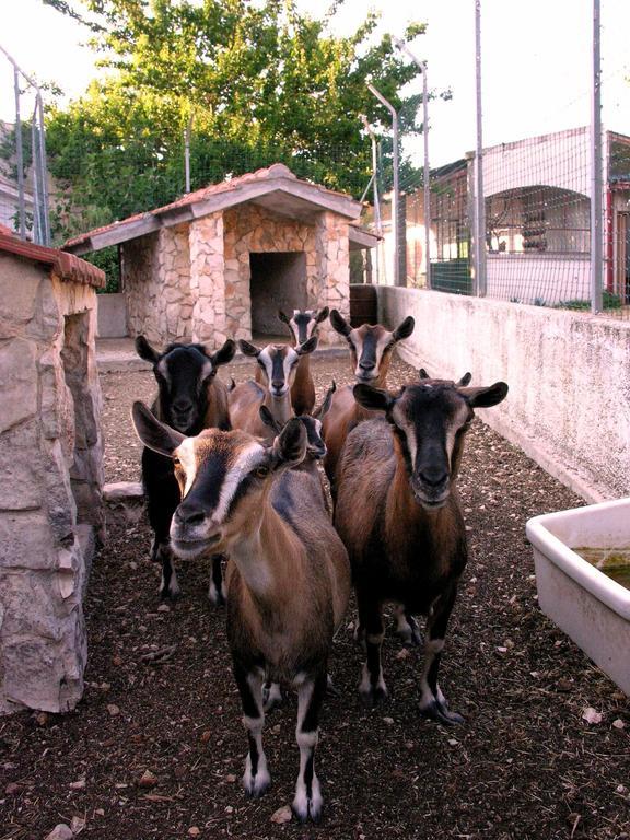 Agriturismo Valle Verde Altamura Zewnętrze zdjęcie